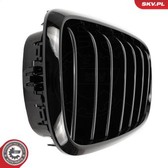 Grille de radiateur ESEN SKV 66SKV294 pour BMW X5 xDrive 25 d - 231cv Grille de radiateur ESEN SKV 66SKV294 pour BMW X5 xDrive 25 d - 231cv