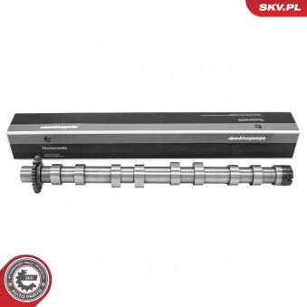 Arbre à came ESEN SKV 80SKV017 pour PEUGEOT 407 2.0 HDI 135 - 136cv