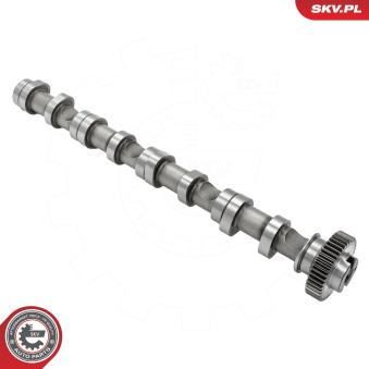 Arbre à came ESEN SKV 80SKV031 pour VOLKSWAGEN TRANSPORTER - COMBI 2.0 TDI 4motion - 136cv