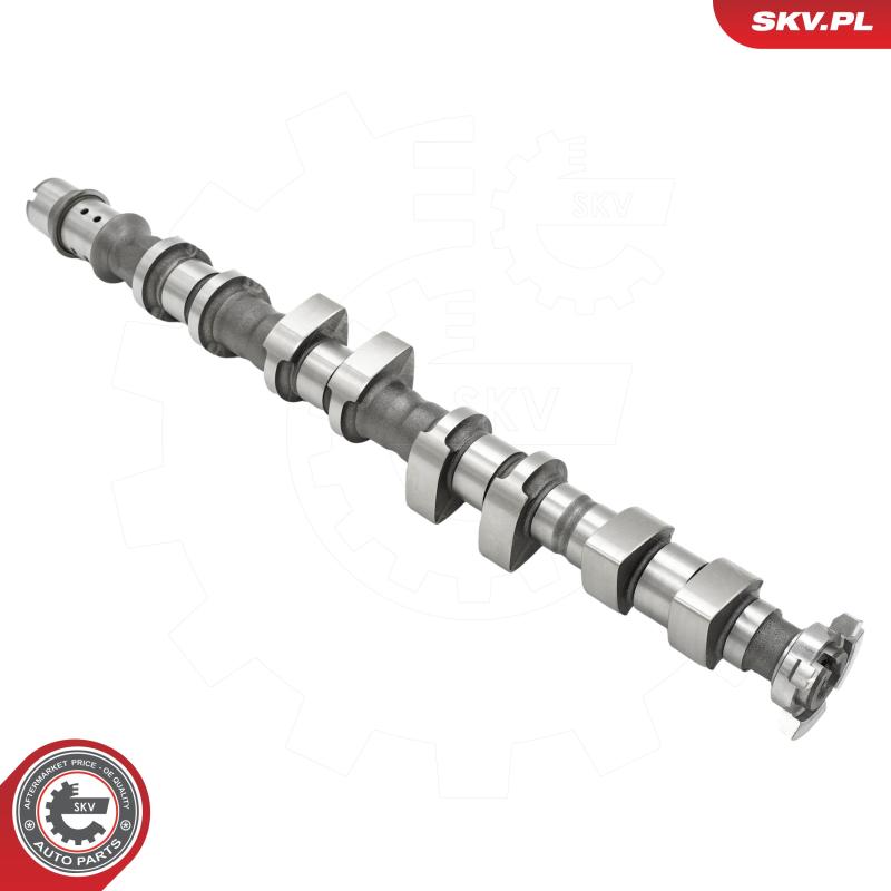 Arbre à came ESEN SKV 80SKV052 - Visuel 1