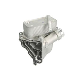 Radiateur d'huile THERMOTEC D4B036TT pour FORD TRANSIT TOURNEO 525 i - 218ch