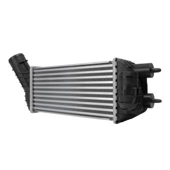 Refroidisseur d'air de suralimentation HELLA 8ML 366 341-781 pour PEUGEOT 3008 2.0 HDI - 150cv