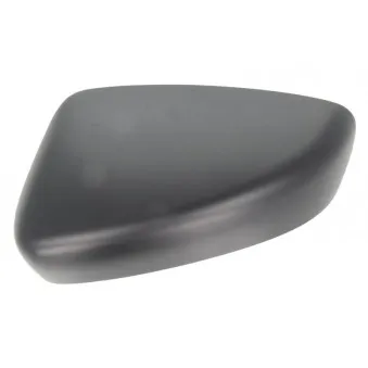 Boitier, rétroviseur extérieur BLIC 6103-14-2001730P pour FORD FOCUS 2.5 - 192cv