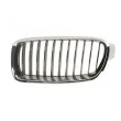 BLIC 6502-07-00639917P - Baguette et bande protectrice, pare-chocs avant gauche 