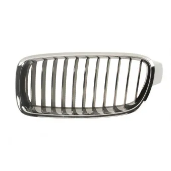 Baguette et bande protectrice, pare-chocs avant gauche BLIC 6502-07-00639917P