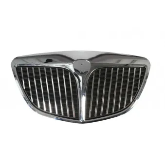 Grille de radiateur BLIC 6502-07-3330990P