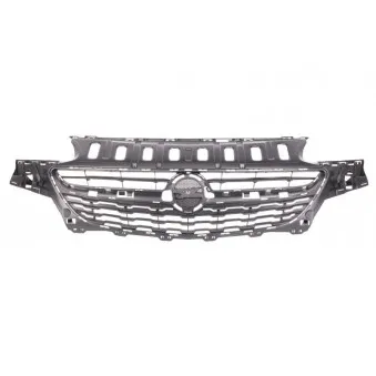 Grille de radiateur BLIC 6502-07-5025990P