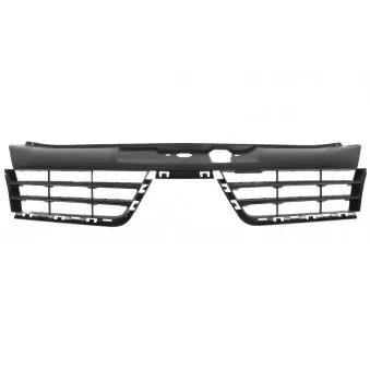 Grille de radiateur BLIC 6502-07-6032994P