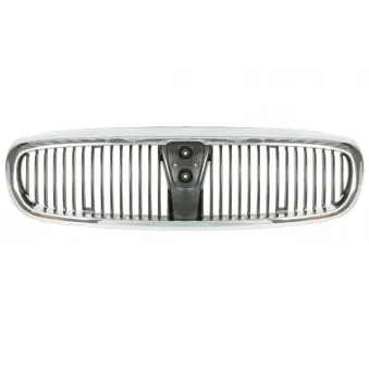 Grille de radiateur BLIC 6502-07-6410990P