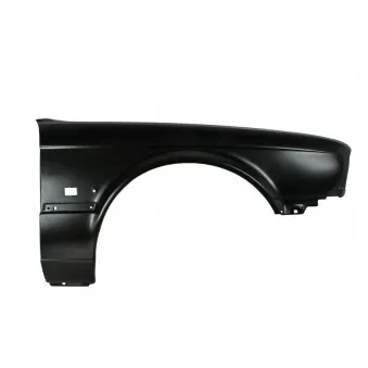 Aile avant droit BLIC 6504-04-0054314P