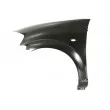 Aile avant gauche BLIC [6504-04-0519311Q]