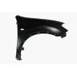 BLIC 6504-04-1617314Q - Aile avant droit 