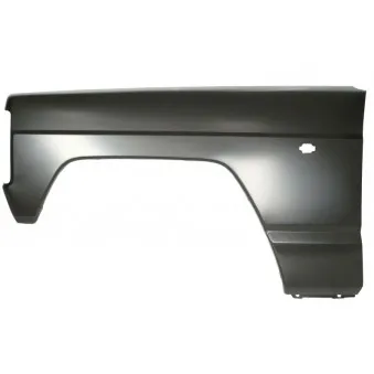 Aile avant gauche BLIC 6504-04-1645313P