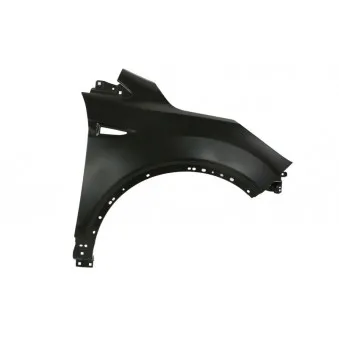 Aile avant droit BLIC 6504-04-2579312P pour DODGE DURANGO 1.5 EcoBoost 4x4 - 182cv