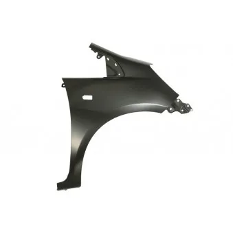 Aile avant droit BLIC 6504-04-2901324P