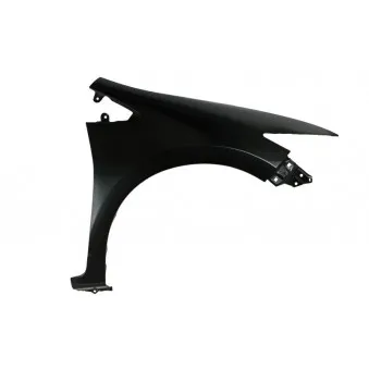 Aile avant droit BLIC 6504-04-2999312P