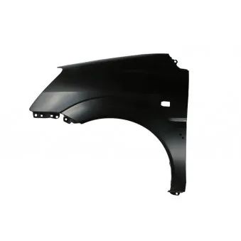 Aile avant gauche BLIC 6504-04-3132313P