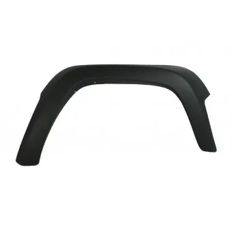 Aile avant droit BLIC 6504-04-3204318P