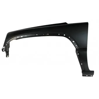 Aile avant gauche BLIC 6504-04-3211313P