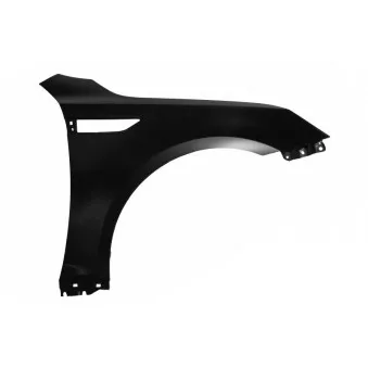 Aile avant droit BLIC 6504-04-3221312P