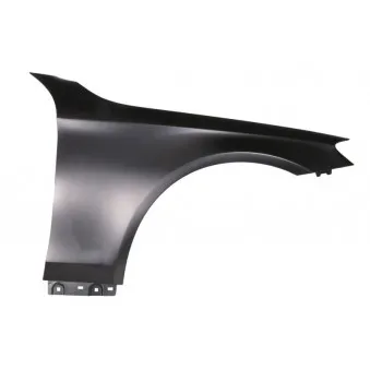 Aile avant droit BLIC 6504-04-3531314P