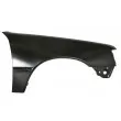 Aile avant droit BLIC [6504-04-5503312P]
