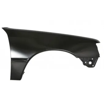 Aile avant droit BLIC 6504-04-5503312P
