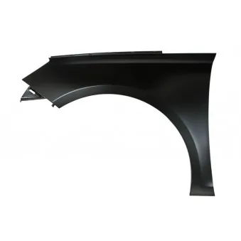 Aile avant gauche BLIC 6504-04-5519313P