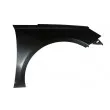 Aile avant droit BLIC [6504-04-5519314P]