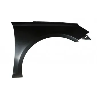 Aile avant droit BLIC 6504-04-5519314P