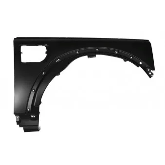 Aile avant droit BLIC 6504-04-6490314P