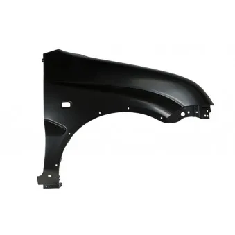 Aile avant droit BLIC 6504-04-6818314P