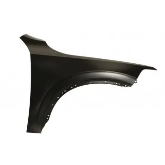 Aile avant droit BLIC 6504-04-9061312P