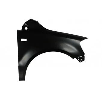 Aile avant droit BLIC 6504-04-9503312P