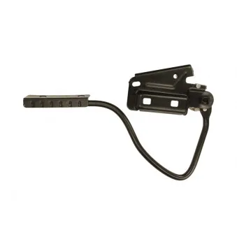 Charnière, capot-moteur avant droit BLIC 6802-00-2509452P