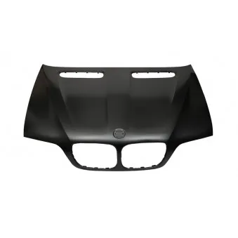 Capot-moteur BLIC 6803-00-0095281P