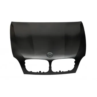 Capot-moteur BLIC 6803-00-0096280P