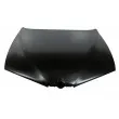 Capot-moteur BLIC [6803-00-0111280P]