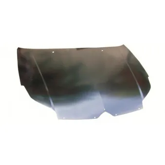 Capot-moteur BLIC 6803-00-0524281P