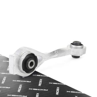 Support moteur RIDEX OEM 8200493821