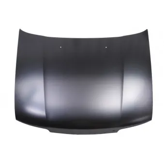 Capot-moteur BLIC 6803-00-1666280P