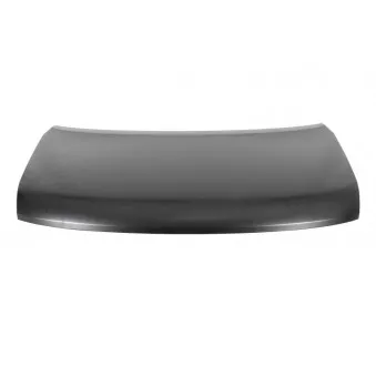 Capot-moteur BLIC 6803-00-1690280P