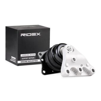 Support moteur RIDEX OEM 6Q0199167AB