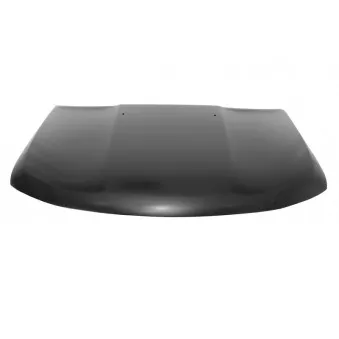 Capot-moteur BLIC 6803-00-3212281P