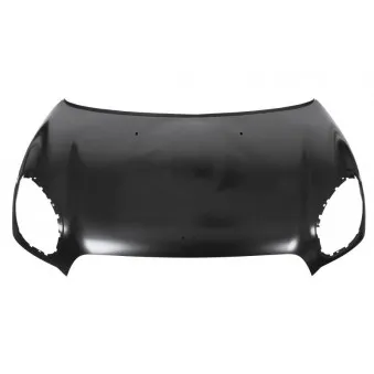 BLIC 6803-00-4003280P - Capot-moteur