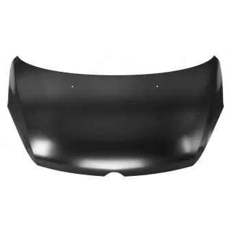 BLIC 6803-00-5033280P - Capot-moteur