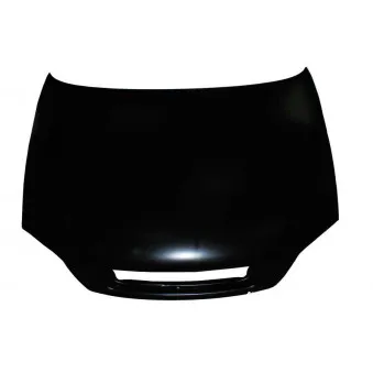 Capot-moteur BLIC 6803-00-5051280Q