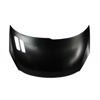 Capot-moteur BLIC 6803-00-5507281P