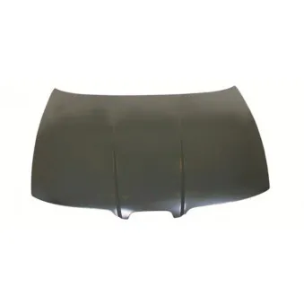 Capot-moteur BLIC 6803-00-6616280P