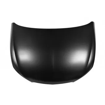 Capot-moteur BLIC 6803-00-6621281P